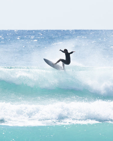Sundance Performance Fish - Pale Stone Surfboards
